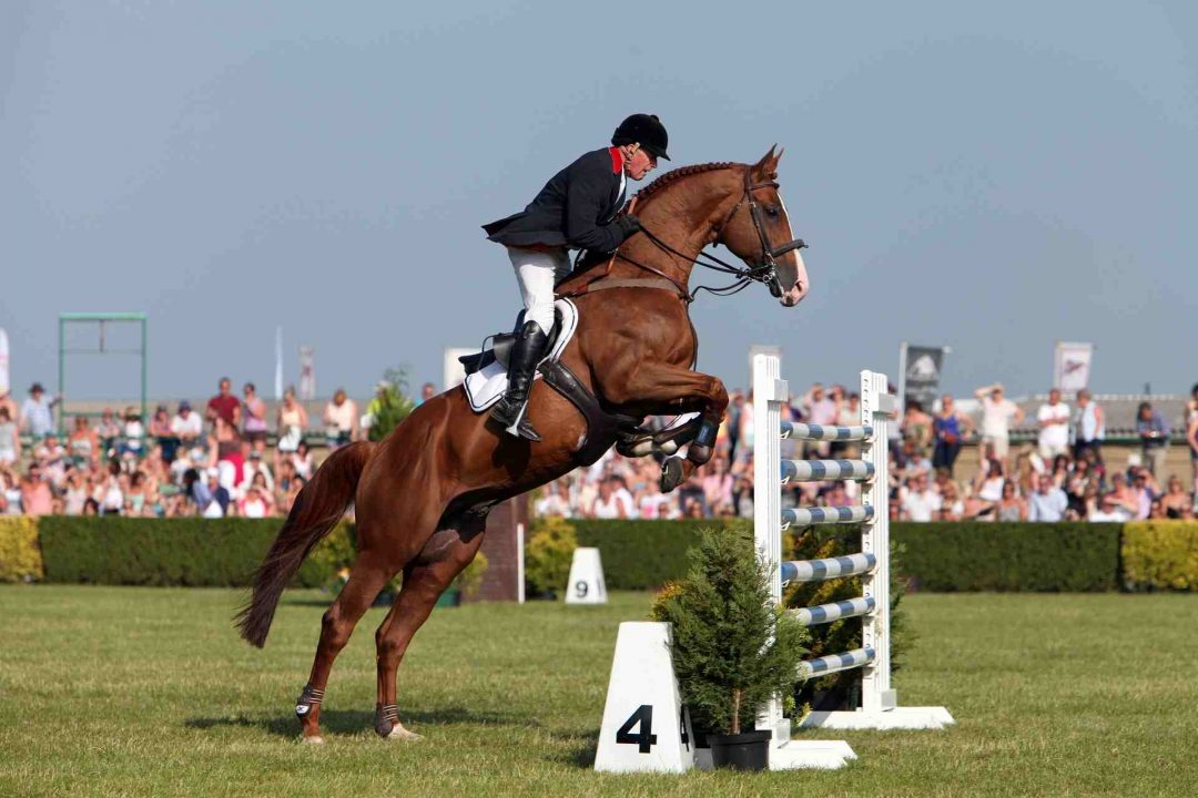 John Whitaker Newmarket Equine Salt Therapy System